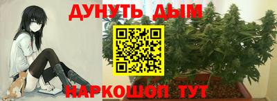 PSILOCYBIN Будённовск