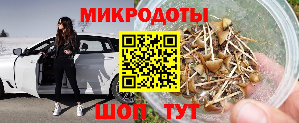 Псилоцибиновые грибы GOLDEN TEACHER Реж